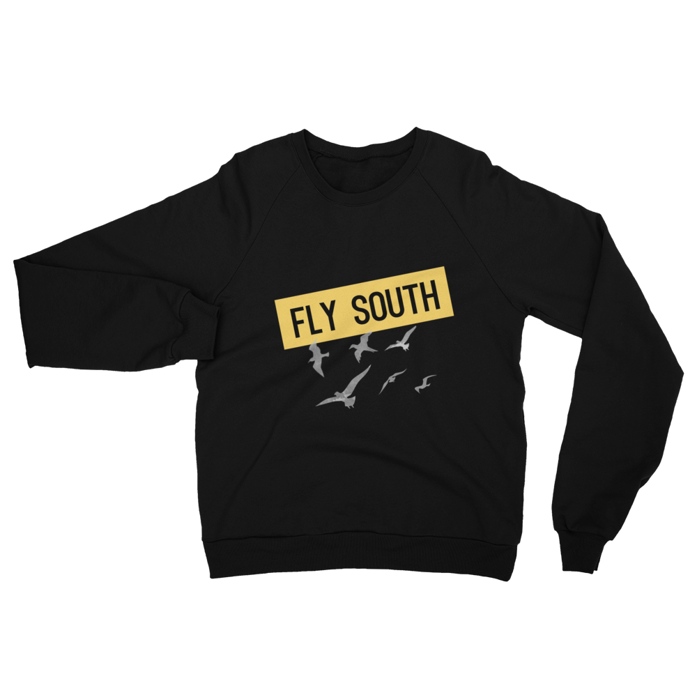 Fly South Raglan sweater
