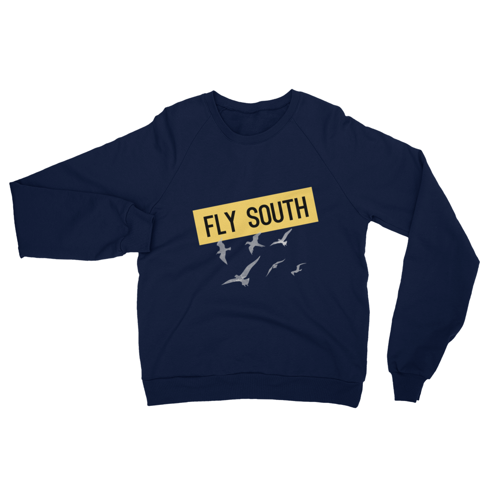 Fly South Raglan sweater
